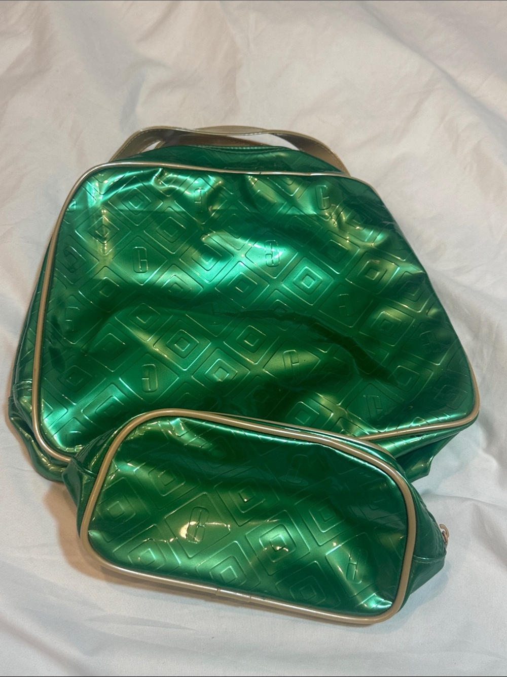 Vintage Clinique Cosmetic and Travel Bag Set
